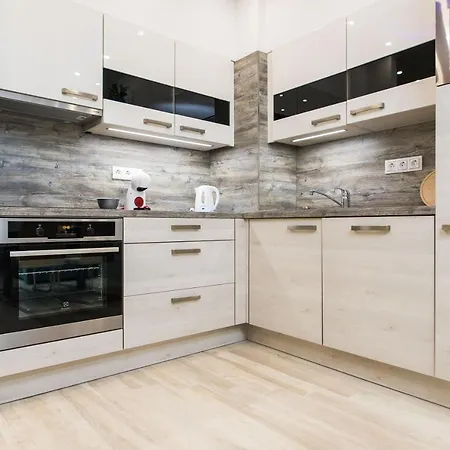 King Suites With Private Garage Διαμέρισμα